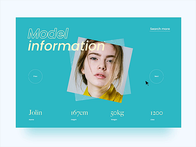 Model information Web animation interface ui web