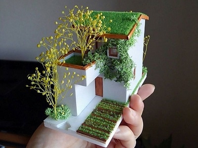 Mojyahouse Model mojyahouse plantshouse tinyhouse