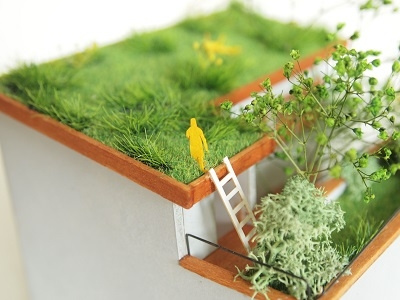 Prairie on the roof greenarchitecture landscapearchitecture plantshouse