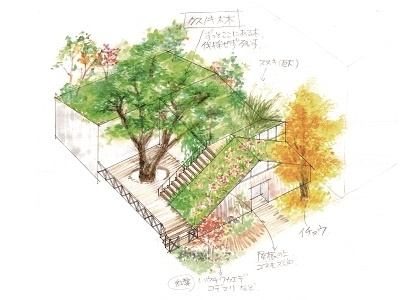Ginkgo Tree house greenarchitecture landscapearchitecture plantshouse