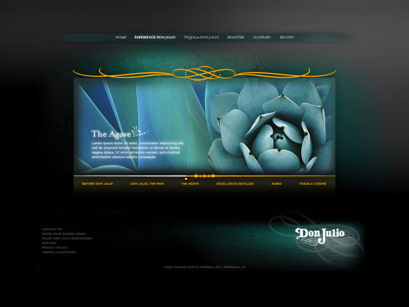 Don Julio web 1 of 3 agave dark ui ux tequila site web julio don
