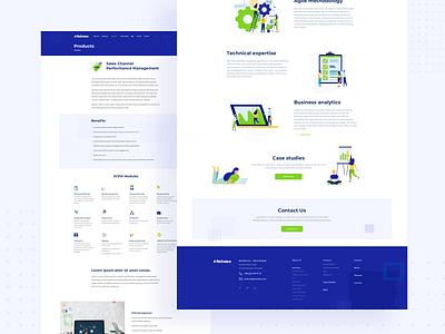 Netwise - CRM Solution Company | Subpages blue brand company crm crm solution design dots flat ilustration green iconset ilustration landingpage software house subpages ui ux website