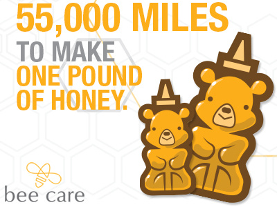 Bayer Bee Care Infographic Pin bayer bears bee care honey info