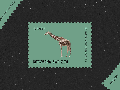 Happy World Giraffe Day By Gokce Yigit On Dribbble