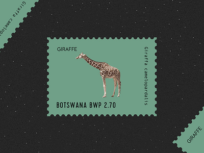 Happy World Giraffe Day! animal color design graphic illustration minimalism postage stamp visual
