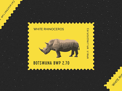 Happy National Rhino Day!