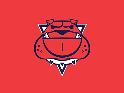 Washington Nationals Projects  Photos, videos, logos, illustrations and  branding on Behance