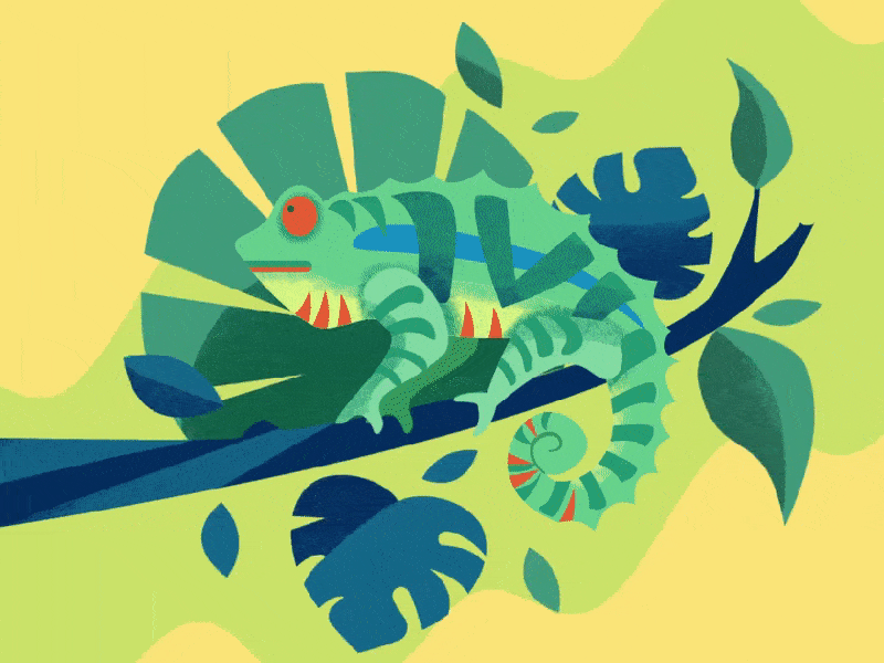 Karma Chameleon after affects animation chameleon colourful digital gif gif art illustration motion graphic tropical