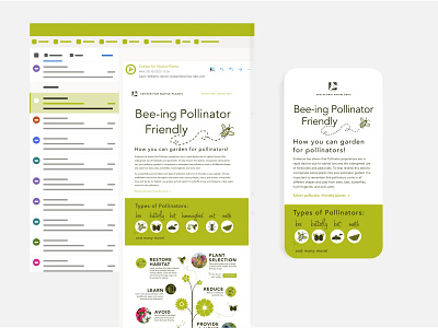 Bee-ing Pollinator Friendly | Center for Native Plants email design email template graphic design graphic designer layout design