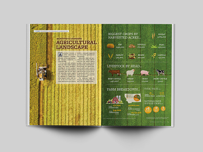 Agriculture Infographic agriculture editorial design infographic infographic design layout design magazine design