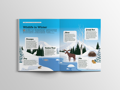 Wildlife in Winter editorial design infographic layout design wildlife winter scene