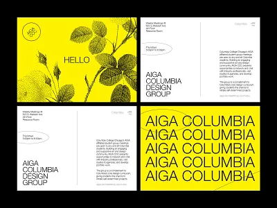 AIGA Columbia post cards aiga branding design graphic design graphicdesign layout print typography vector