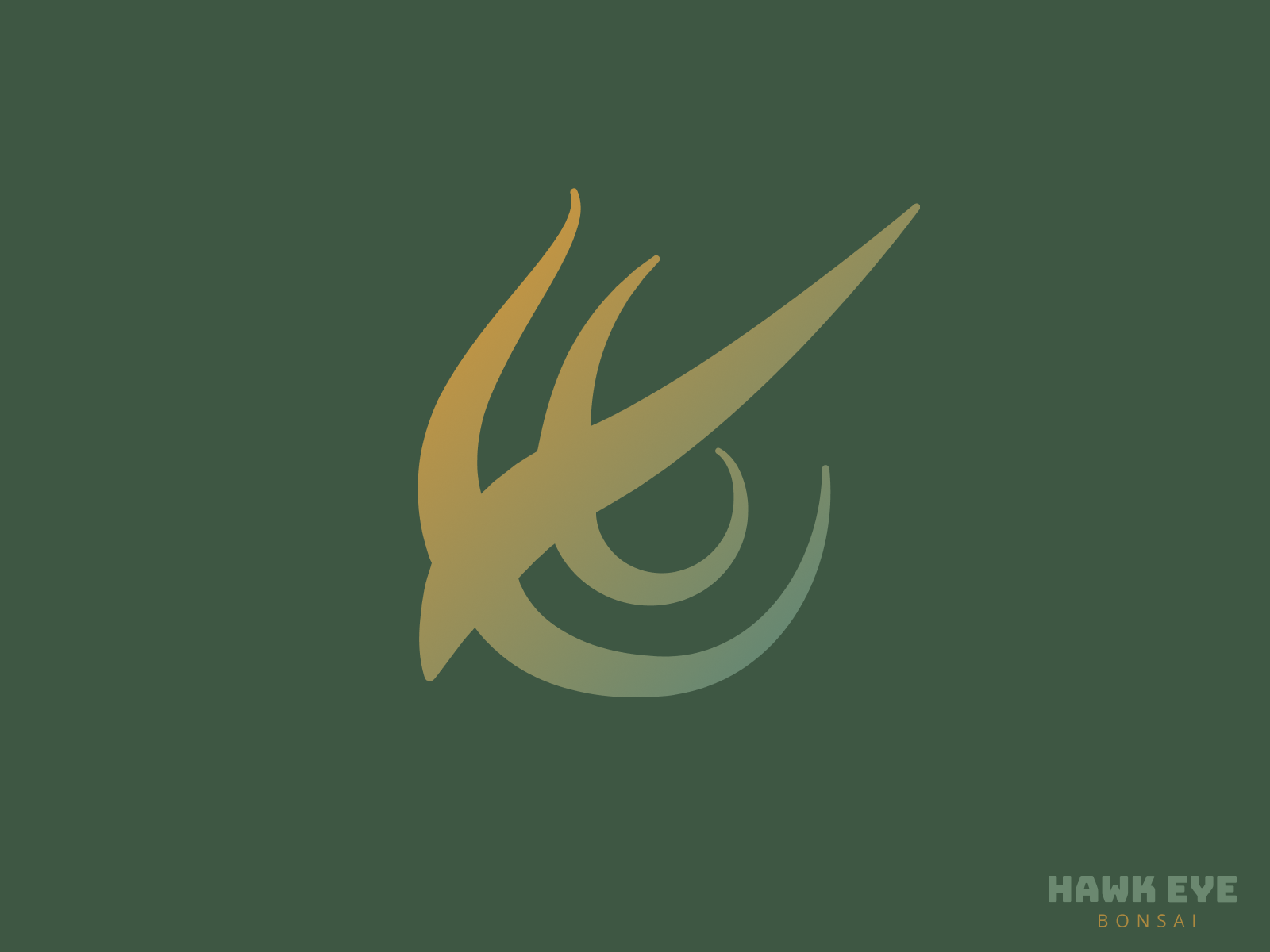 Hawk Eye Bonsai Brand Identity by Kristopher Ray Bolleter on Dribbble