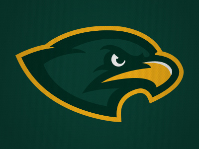 Hawks Baseball baseball green hawks logo sports