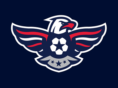 Usa Soccer Designs Themes Templates And Downloadable Graphic Elements On Dribbble