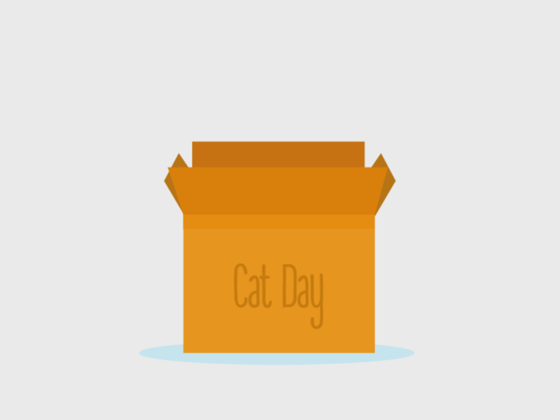 Cat Day cat gif animation 2d flat