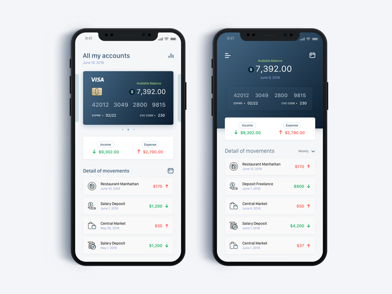 Bank Finance Concept (Banking) - Daily UI Challenge #7 by Angel