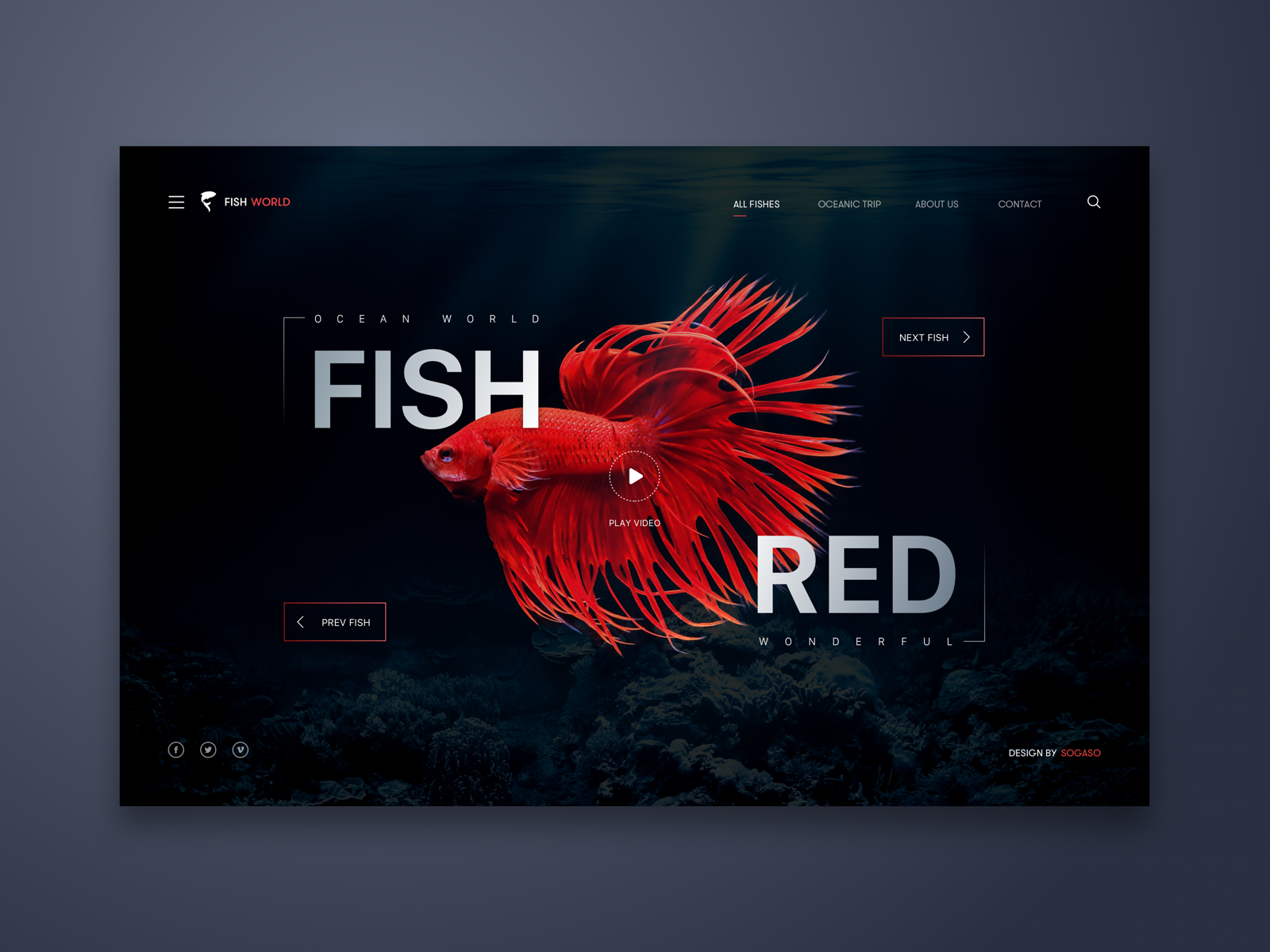 Fish Red Web UI Design by Angel Villanueva on Dribbble