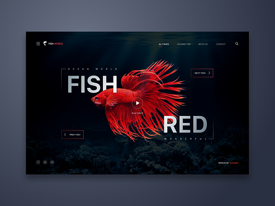 Fish Red Web UI Design design detail fish inspiration interaction landing page logo minialista minimalist ui ui ux ui ux design ui design ux ux design web design