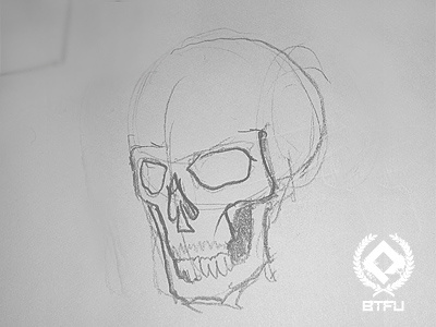 Skull WIP sketch skull