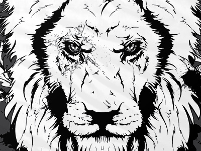 Lion illustration lion