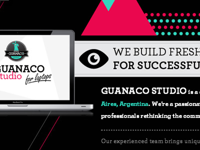 Guanaco Site by Guanaco Studio on Dribbble