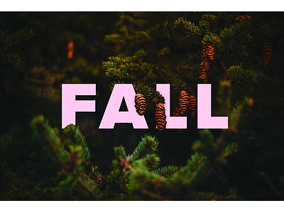 Typography - Seasons 4 acorns dark fall seasons typography graphic design