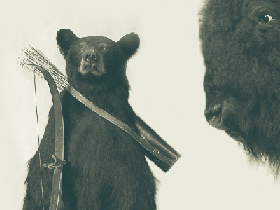 Bear Fight album art bear buffalo duotone photography