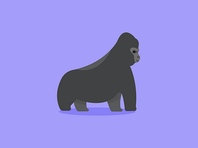 I'm bringin silver back animal flat gorilla illustration purple silverback