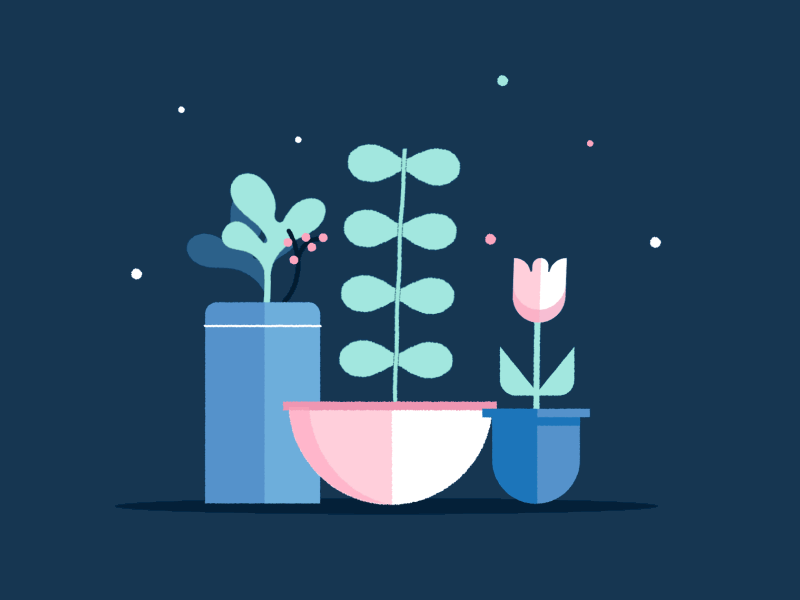 Flowers and Plants
