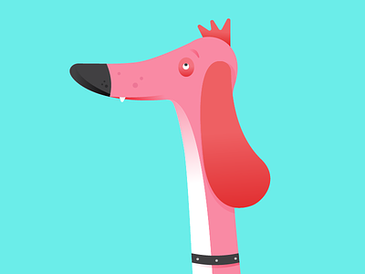 Long boy animal bright character dog greyhound illustration