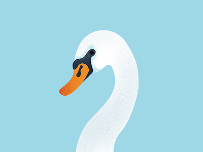 Drawing Swan Procreate designs, themes, templates and downloadable graphic  elements on Dribbble