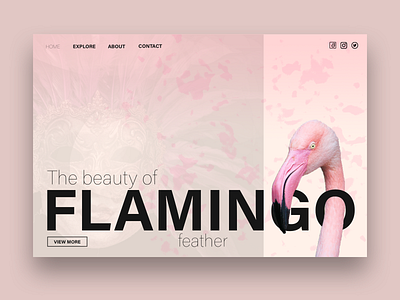 Flamingo Web Design