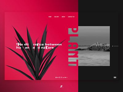 PLANT WEBSITE DESIGN - 2018 art design flat graphic art graphic arts illustration logo minimal modern nature plant plant illustration simple typography web webdesign website website banner website concept website creator