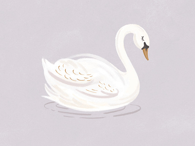 Swan Illustration bird illustration nursery swan