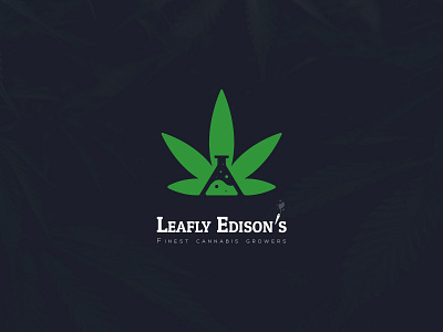 Leafy Edison's app branding design flat illustration logo minimal ui vector web