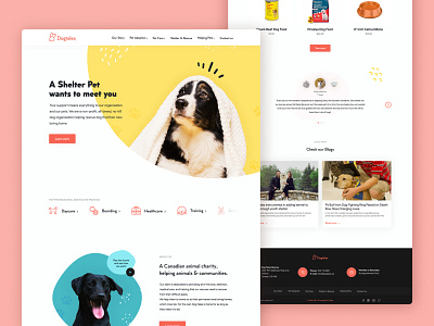 Animal Rescue Landing page - UI & UX Design animals concept creative design landing page minimal redesign rescue ui ux web webdesign