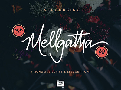 Mellgatha Monoline Script caligraphy font lettering monoline monoline script script script font