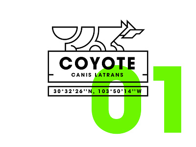 Coyote - Day 01 animal animals coyote illustration lines minimal pictogram
