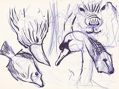 Animals animal art drawing sketch