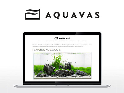 Aquavas branding logo website