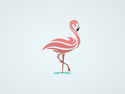 Flamingo design flamingo illustration logo