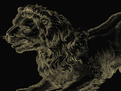 Constellation Lion constellation drawing engraved heymikel illustration lion miguel sousa