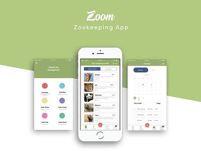 Zoom the zookeeper app animals app app branding green ibm design thinking navy simple simple clean interface ui ux design zoo