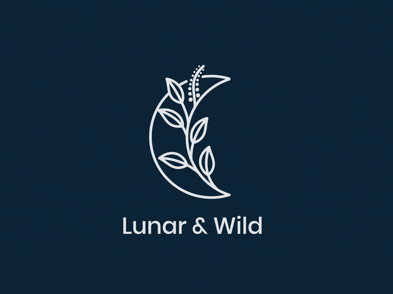 Lunar&Wild Logo animation ae animated logo animation branding animation illustration logo logo animation logo reveal moon motion graphics motion logo ui
