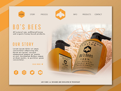 Bo's Bees Home Page design homepage illustrator photoshop ui web website