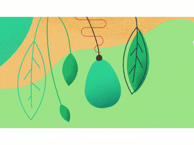 Genetics V3 after effects animation avocado frame by frame gif leaf leaves motion graphics seed water watering