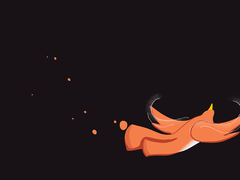 Bird fly gif cool splash liquid photoshop cel cel animation fly bird animation motion frame by frame