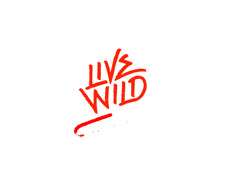 Live Wild logo animation animation apparel brand cel animation design frame by frame gif lettering liquid live wild motion splash