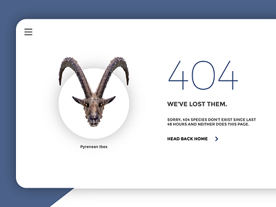 404 - error page